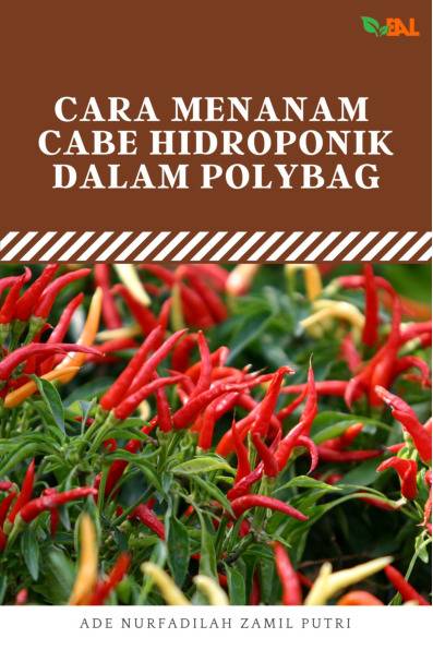 Sampul buku Cara Menaman Cabe Hi...